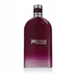 Naiste parf&uuml;&uuml;mvesi Roberto Cavalli Just Cavalli Wild Heart 90 ml