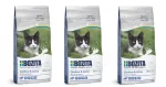 Kuiv kassitoit Bozita Outdoor & Active Cat hirvelihaga, 3 x 2 kg