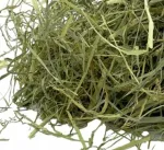 Kuiv hein n&auml;rilistele, 1,5 kg &ndash; hamstritele, j&auml;nestele, hiirtele