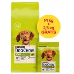 PURINA Dog Chow Adult kuivtoit lambalihaga, 16,5 kg (14 kg + 2,5 kg kingitus)