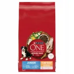 Koeratoit PURINA ONE Junior Medium/Maxi kanaga ja riisiga, 7 kg