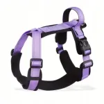 Koera rakmed HAVE A PET Guard, violetset v&auml;rvi, suurus M