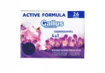 GALLUS Professional Color pesupulber, 1,3 kg, 26 pesukorda