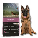 QUANIM koeratoit sea lihaga, 12 kg, sobib kuldsetele retriiveritele