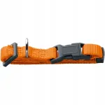 Koera kaelarihm Hunter London VB, oranž, suurus XXS/XS