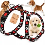 Koera rakmed GUARD DOG, reguleeritavad, mugavad, survevabad, suurus M