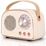 Bluetooth 5.0 kaasaskantav k&otilde;lar, FM-raadio, USB, AUX, microSD, 3W, retro stiilis