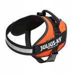 Koera rakmed Julius-K9 IDC, oranžid, suurus 2