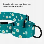 Koera kaelarihm CollarDirect, lai, tugev nailon, 30&ndash;43 cm, martingale t&uuml;&uuml;p
