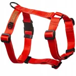 Kutsika rakmed GUARD, XS, 15 mm, Ukory, sobivad chihuahua`dele ja pinscheritele