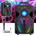 Juhtmevaba k&otilde;lar BOOMBOX mikrofoniga, karaoke funktsiooniga