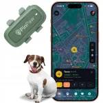 Lemmikloomade GPS j&auml;lgija PinPaw P5 Pro ilma tellimuseta