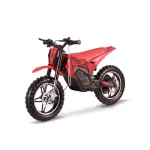 Elektriline motokrossi mootorratas lastele G-FORCE Junior 14/14
