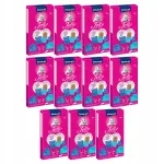 Vitakraft Jelly Lovers kassimaitsed l&otilde;he ja p&otilde;hjakotkaga, 66 x 15 g