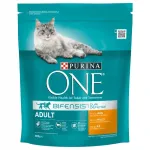 Kassitoit PURINA ONE Adult kanaga ja teraviljaga, 750 g