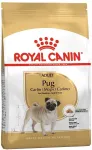 ROYAL CANIN Pug Adult kuivtoit koertele, 1,5 kg