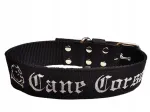 Embroidereeritud Cane Corso koera kaelarihm, 5 cm lai, XXL (75 cm)