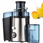 Roostevabast terasest puu- ja k&ouml;&ouml;giviljade mahlapress 1000W 500ml