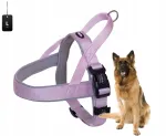 Koerte rakmed NOBBY PREMIUM CLASSIC PRENO L, violetse tooniga, 35 mm, 60&ndash;76 cm