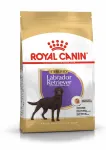 ROYAL CANIN kuivtoit koertele Labrador Retriever Sterilized, 12 kg