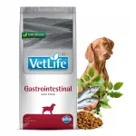 Kuiv toit koertele FARMINA Vet Life Gastrointestinal, 12 kg, seedimisprobleemidele