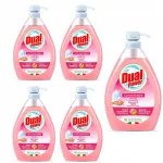 DUAL POWER Gel Delicato n&otilde;ude pesuvahend, 1 l, dosaatoriga, Itaalia