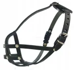 Champion M1 nahast koeramask mopsile