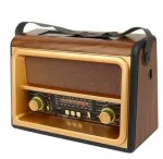 Raadiosaatja FM, retrostiilis, Bluetoothi, p&auml;ikesepaneeli ja puldiga