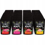 Rafi Cat niiske kassitoit, 4 maitset, kalavaba, 40 x 100 g