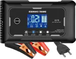 Auto aku laadija 12V/24V LCD-ga, 9 laadimistaset