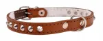 Nahast koera kaelarihm DINO, naelutatud, 14 mm x 36 cm, pruun