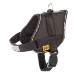 Koera rakmed DINGO, mustad, helkuriga, suurus 1