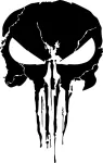 Auto kleebis SKULL PUNISHER, 15 x 9,6 cm, taustata