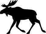 Kleeps autole MOOSE, 14 x 18,8 cm, taustata