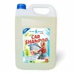 Auto &scaron;ampoon vahaga, 5 l, Peter Space