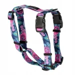 Koerte rakmed Dolina Noteci Guard Classic Floral Corner, suurus L