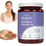 Toidulisand Immaculate 500 mg Vitex Agnus, 60 kapslit