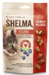 SHELMA koeratoit teraviljavaba veiseliha ja marjadega, 8 x 60 g