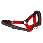 Koera rakmed AMIPLAY Shine, punased, suurus S