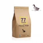 Kuiv koeratoit 77 Henry VIII pardiliha, k&ouml;&ouml;giviljade ja puuviljadega, 2 kg