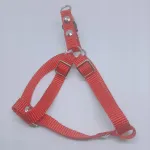 Survestamata koerte rakmed, 25 cm, suurus XS