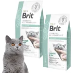 Veterinaarne kassitoit BRIT Struvite, 2 x 5 kg