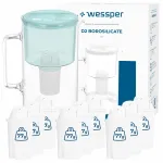 Wessper D2 BOROSILICATE klaasist kann 3 l m&uuml;ndirohelise v&auml;rviga, 10 filtriga