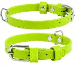 Nahast koera kaelarihm WAUDOG, 12 mm, 21&ndash;29 cm, roheline