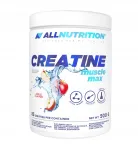 Kreatiin ALLNUTRITION CREATINE MUSCLE MAX 500g &otilde;unamaitsega