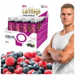 Toidulisand liigestele NOBLEPHARMA Cartilage Collagen 10000 mg, 25 mg ampullid, 20 tk