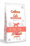 Kuiv koeratoit Calibra Starter & Puppy lambalihaga kutsikatele ja imetavatele emastele, 750 g