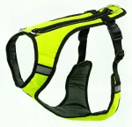 Koera rakmed SPEED, suurus XS, rohekas