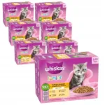 Whiskas Poultry JUNIOR kassitoit, 84 x 85 g