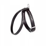 Rakmed DINGO "GLAMOUR" NR3, mustad